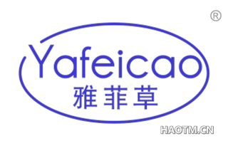 雅菲草 