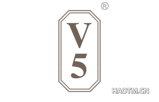  V5