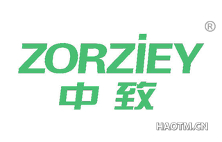 中致 ZORZIEY