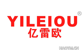 亿雷欧 