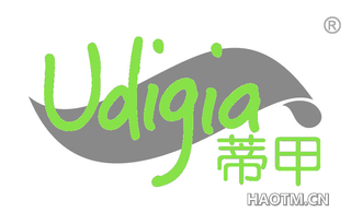 蒂甲 UDIGIA