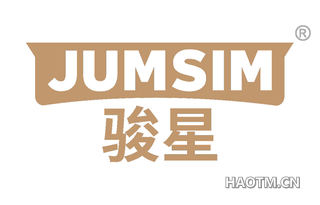 骏星 JUMSIM