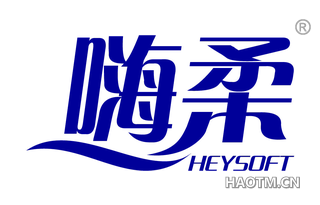 嗨柔 HEYSOFT