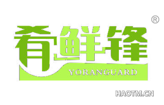 肴鲜锋 YORANGUARD
