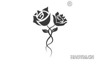 玫瑰花图形 