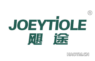 飓途 JOEYTIOLE