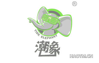 潮象 TIDE ELEPHANT