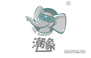 潮象 TIDE ELEPHANT