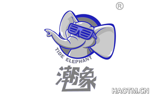 潮象 TIDE ELEPHANT