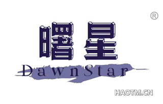 曙星 DAWNSTAR