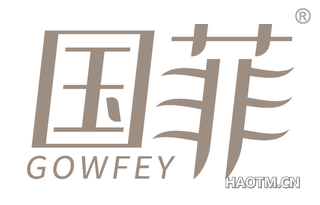 国菲 GOWFEY