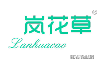 岚花草 