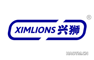 兴狮 XIMLIONS