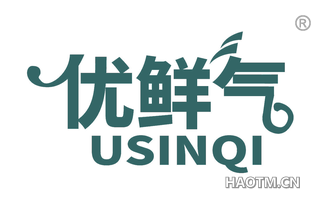 优鲜气 USINQI