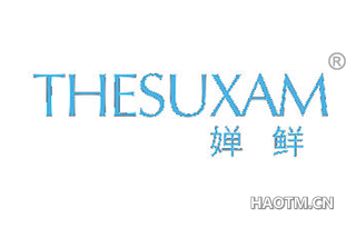 婵鲜 THESUXAM