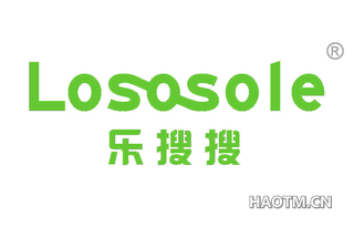 乐搜搜 LOSOSOLE