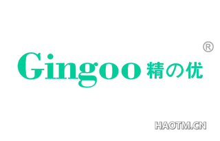 精优 GINGOO