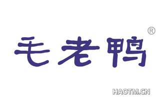 毛老鸭 