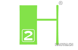  H2