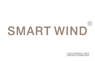 SMART WIND