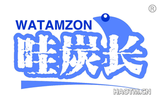 哇炭长 WATAMZON