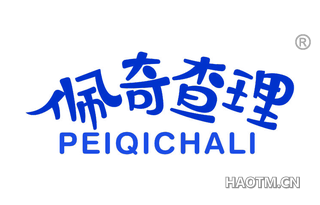 佩奇查理 