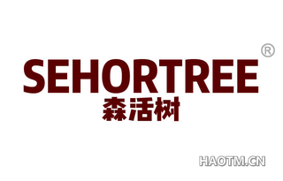 森活树 SEHORTREE