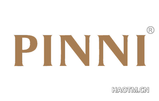 PINNI