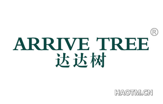 达达树 ARRIVE TREE