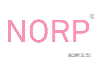  NORP