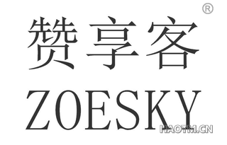 赞享客 ZOESKY