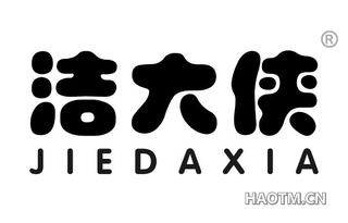 洁大侠 