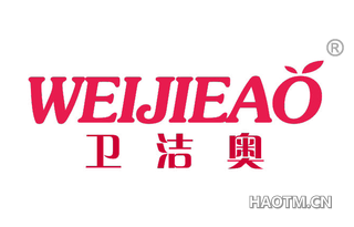 卫洁奥 