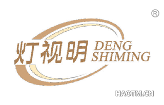 灯视明 