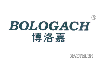 博洛嘉 BOLOGACH