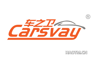 车之卫 CARSVAY