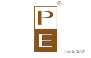  PE
