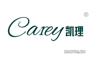 凯理 CAREY