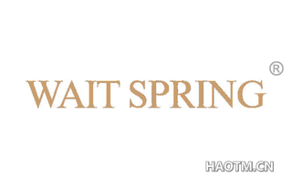 WAIT SPRING