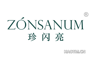 珍闪亮 ZONSANUM