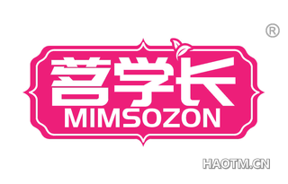 茗学长 MIMSOZON