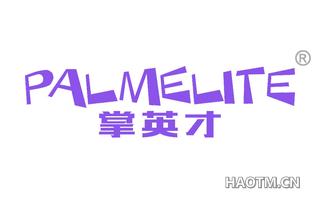 掌英才 PALMELITE