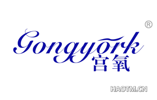 宫氧 GONGYORK