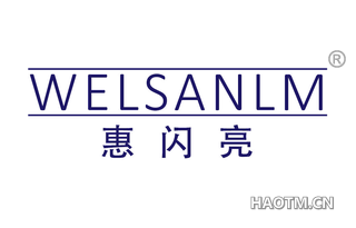 惠闪亮 WELSANLM