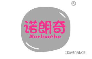 诺朗奇 NORLOACHE