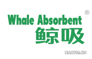 鲸吸 WHALE ABSORBENT