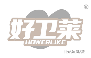 好卫莱 HOWERLIKE