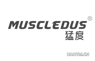 猛度 MUSCLEDUS