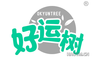 好运树 OKYUNTREE