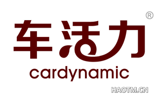 车活力 CARDYNAMIC